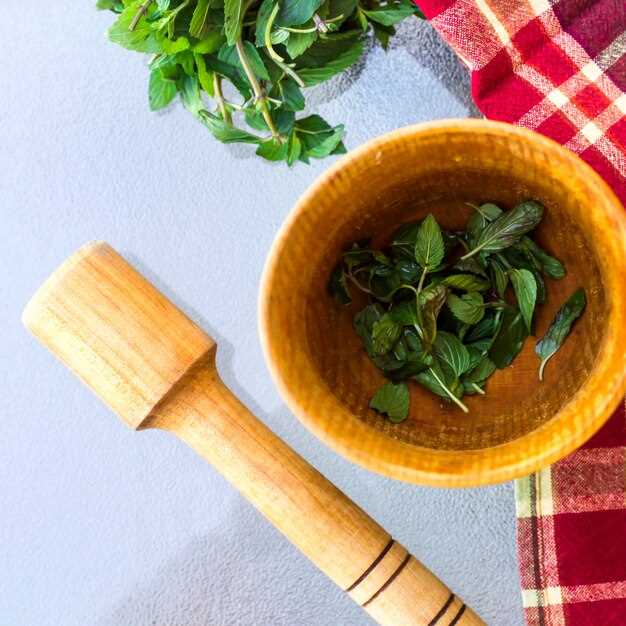 Салаты с травяными заправками и свежими травами